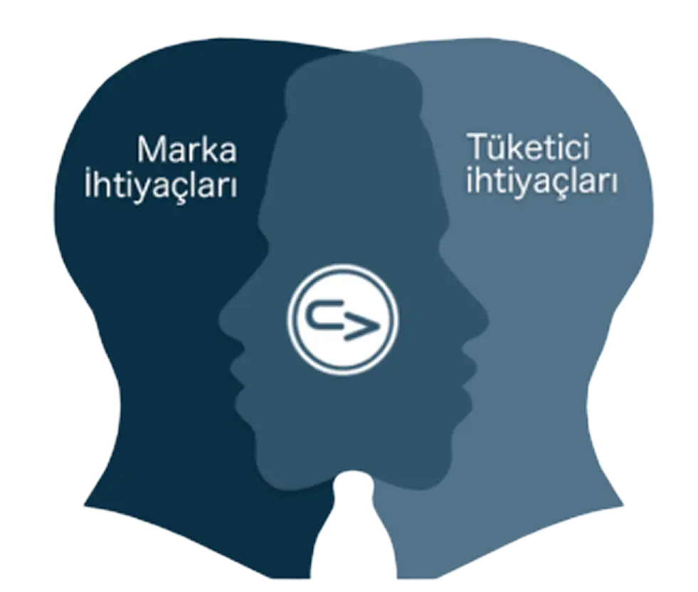 Our Expertise